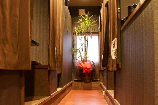 恋人とのデートの食事にいかがですか？